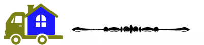 Delhi packers and movers logo